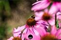Dateiname=Gardening_2020_068.jpg
Dateigröße=129KB
Abmessungen: 1349x900
hinzugefügt am: 19. Dezember 2020 Gardening_2020_068.jpg