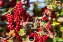 Dateiname=Gardening_2020_079.jpg
Dateigröße=178KB
Abmessungen: 1349x900
hinzugefügt am: 19. Dezember 2020 Gardening_2020_079.jpg