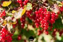 Dateiname=Gardening_2020_080.jpg
Dateigröße=188KB
Abmessungen: 1349x900
hinzugefügt am: 19. Dezember 2020 Gardening_2020_080.jpg