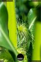 Dateiname=Gardening_2020_081.jpg
Dateigröße=93KB
Abmessungen: 601x900
hinzugefügt am: 19. Dezember 2020 Gardening_2020_081.jpg