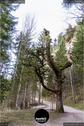 Dateiname=Belchenfluh_Set_04.jpg
Dateigröße=234KB
Abmessungen: 601x900
hinzugefügt am: 26. Oktober 2020 Belchenfluh_Set_04.jpg
