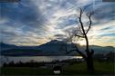 Dateiname=Dietschiberg_Luzern_Set_12.jpg
Dateigröße=208KB
Abmessungen: 1349x900
hinzugefügt am: 26. Oktober 2020 Dietschiberg_Luzern_Set_12.jpg