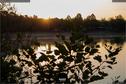 Dateiname=WaldmattenseeKippenheimDE_Rise_15.jpg
Dateigröße=229KB
Abmessungen: 1349x900
hinzugefügt am: 26. Oktober 2020 WaldmattenseeKippenheimDE_Rise_15.jpg