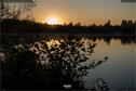 Dateiname=WaldmattenseeKippenheimDE_Rise_16.jpg
Dateigröße=216KB
Abmessungen: 1349x900
hinzugefügt am: 26. Oktober 2020 WaldmattenseeKippenheimDE_Rise_16.jpg