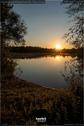 Dateiname=WaldmattenseeKippenheimDE_Rise_22.jpg
Dateigröße=148KB
Abmessungen: 601x900
hinzugefügt am: 26. Oktober 2020 WaldmattenseeKippenheimDE_Rise_22.jpg