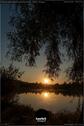 Dateiname=WaldmattenseeKippenheimDE_Rise_29.jpg
Dateigröße=138KB
Abmessungen: 601x900
hinzugefügt am: 26. Oktober 2020 WaldmattenseeKippenheimDE_Rise_29.jpg