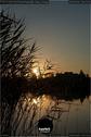 Dateiname=WaldmattenseeKippenheimDE_Rise_34.jpg
Dateigröße=122KB
Abmessungen: 601x900
hinzugefügt am: 26. Oktober 2020 WaldmattenseeKippenheimDE_Rise_34.jpg