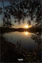 Dateiname=WaldmattenseeKippenheimDE_Rise_40.jpg
Dateigröße=163KB
Abmessungen: 601x900
hinzugefügt am: 26. Oktober 2020 WaldmattenseeKippenheimDE_Rise_40.jpg