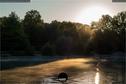 Dateiname=WaldmattenseeKippenheimDE_Rise_65.jpg
Dateigröße=212KB
Abmessungen: 1349x900
hinzugefügt am: 26. Oktober 2020 WaldmattenseeKippenheimDE_Rise_65.jpg