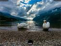 Dateiname=Walensee_Set_12.jpg
Dateigröße=312KB
Abmessungen: 1199x900
hinzugefügt am: 26. Oktober 2020 Walensee_Set_12.jpg