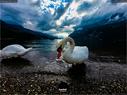 Dateiname=Walensee_Set_14.jpg
Dateigröße=248KB
Abmessungen: 1199x900
hinzugefügt am: 26. Oktober 2020 Walensee_Set_14.jpg