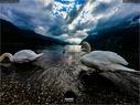 Dateiname=Walensee_Set_15.jpg
Dateigröße=239KB
Abmessungen: 1199x900
hinzugefügt am: 26. Oktober 2020 Walensee_Set_15.jpg