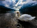 Dateiname=Walensee_Set_16.jpg
Dateigröße=191KB
Abmessungen: 1199x900
hinzugefügt am: 26. Oktober 2020 Walensee_Set_16.jpg