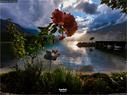 Dateiname=Walensee_Set_18.jpg
Dateigröße=233KB
Abmessungen: 1199x900
hinzugefügt am: 26. Oktober 2020 Walensee_Set_18.jpg