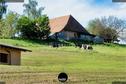 Dateiname=2020_SeebergGrasswil_029.JPEG
Dateigröße=482KB
Abmessungen: 1349x900
hinzugefügt am: 27. Dezember 2020 2020_SeebergGrasswil_029.JPEG