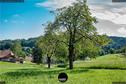 Dateiname=2020_SeebergGrasswil_031.JPEG
Dateigröße=471KB
Abmessungen: 1349x900
hinzugefügt am: 27. Dezember 2020 2020_SeebergGrasswil_031.JPEG