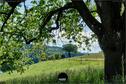 Dateiname=2020_SeebergGrasswil_034.JPEG
Dateigröße=481KB
Abmessungen: 1349x900
hinzugefügt am: 27. Dezember 2020 2020_SeebergGrasswil_034.JPEG