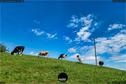 Dateiname=2020_SeebergGrasswil_041.JPEG
Dateigröße=261KB
Abmessungen: 1349x900
hinzugefügt am: 27. Dezember 2020 2020_SeebergGrasswil_041.JPEG