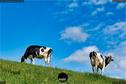 Dateiname=2020_SeebergGrasswil_042.JPEG
Dateigröße=208KB
Abmessungen: 1349x900
hinzugefügt am: 27. Dezember 2020 2020_SeebergGrasswil_042.JPEG