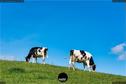 Dateiname=2020_SeebergGrasswil_043.JPEG
Dateigröße=197KB
Abmessungen: 1349x900
hinzugefügt am: 27. Dezember 2020 2020_SeebergGrasswil_043.JPEG