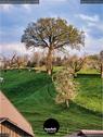 Dateiname=2020_SeebergGrasswil_047.JPEG
Dateigröße=198KB
Abmessungen: 676x900
hinzugefügt am: 27. Dezember 2020 2020_SeebergGrasswil_047.JPEG