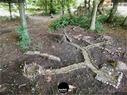 Dateiname=2020_SeebergGrasswil_058.jpg
Dateigröße=538KB
Abmessungen: 1199x900
hinzugefügt am: 27. Dezember 2020 2020_SeebergGrasswil_058.jpg