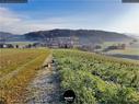 Dateiname=2020_SeebergGrasswil_071.jpg
Dateigröße=370KB
Abmessungen: 1199x900
hinzugefügt am: 27. Dezember 2020 2020_SeebergGrasswil_071.jpg