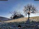 Dateiname=2020_SeebergGrasswil_074.jpg
Dateigröße=358KB
Abmessungen: 1199x900
hinzugefügt am: 27. Dezember 2020 2020_SeebergGrasswil_074.jpg