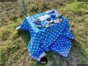 Dateiname=2020_SeebergGrasswil_077.jpg
Dateigröße=539KB
Abmessungen: 1199x900
hinzugefügt am: 27. Dezember 2020 2020_SeebergGrasswil_077.jpg
