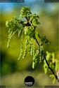 Dateiname=NatureSeasnon_2020_045.JPEG
Dateigröße=87KB
Abmessungen: 601x900
hinzugefügt am: 06. Januar 2021 NatureSeasnon_2020_045.JPEG
