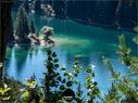Dateiname=Caumasee_017.jpg
Dateigröße=314KB
Abmessungen: 1199x900
hinzugefügt am: 16. November 2020 Caumasee_017.jpg