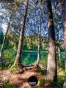Dateiname=Caumasee_041.jpg
Dateigröße=324KB
Abmessungen: 676x900
hinzugefügt am: 16. November 2020 Caumasee_041.jpg