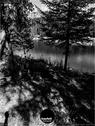 Dateiname=Caumasee_070.jpg
Dateigröße=229KB
Abmessungen: 676x900
hinzugefügt am: 16. November 2020 Caumasee_070.jpg