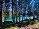 Dateiname=Caumasee_073.jpg
Dateigröße=460KB
Abmessungen: 1199x900
hinzugefügt am: 16. November 2020 Caumasee_073.jpg