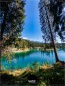 Dateiname=Caumasee_076.jpg
Dateigröße=239KB
Abmessungen: 676x900
hinzugefügt am: 16. November 2020 Caumasee_076.jpg