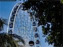Dateiname=Mexico20_CancunZonaHotelera_147.jpg
Dateigröße=271KB
Abmessungen: 1199x900
hinzugefügt am: 16. Juli 2020 Mexico20_CancunZonaHotelera_147.jpg