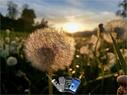 Dateiname=Natel_Handy_2020_030.JPEG
Dateigröße=163KB
Abmessungen: 1199x900
hinzugefügt am: 01. Januar 2021 Natel_Handy_2020_030.JPEG