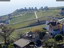 Dateiname=Chexbres_Lavaux_14.jpg
Dateigröße=390KB
Abmessungen: 1199x900
hinzugefügt am: 09. Januar 2022 Chexbres_Lavaux_14.jpg