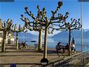 Dateiname=Chexbres_Lavaux_27.jpg
Dateigröße=342KB
Abmessungen: 1199x900
hinzugefügt am: 09. Januar 2022 Chexbres_Lavaux_27.jpg