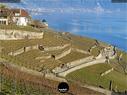Dateiname=Chexbres_Lavaux_33.jpg
Dateigröße=435KB
Abmessungen: 1199x900
hinzugefügt am: 09. Januar 2022 Chexbres_Lavaux_33.jpg