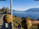 Dateiname=Chexbres_Lavaux_42.jpg
Dateigröße=225KB
Abmessungen: 1199x900
hinzugefügt am: 09. Januar 2022 Chexbres_Lavaux_42.jpg
