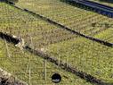 Dateiname=Chexbres_Lavaux_43.jpg
Dateigröße=690KB
Abmessungen: 1199x900
hinzugefügt am: 09. Januar 2022 Chexbres_Lavaux_43.jpg