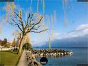 Dateiname=Chexbres_Lavaux_51.jpg
Dateigröße=294KB
Abmessungen: 1199x900
hinzugefügt am: 09. Januar 2022 Chexbres_Lavaux_51.jpg