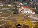 Dateiname=Chexbres_Lavaux_56.jpg
Dateigröße=399KB
Abmessungen: 1199x900
hinzugefügt am: 09. Januar 2022 Chexbres_Lavaux_56.jpg