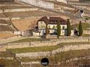 Dateiname=Chexbres_Lavaux_63.jpg
Dateigröße=435KB
Abmessungen: 1199x900
hinzugefügt am: 09. Januar 2022 Chexbres_Lavaux_63.jpg
