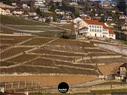 Dateiname=Chexbres_Lavaux_65.jpg
Dateigröße=373KB
Abmessungen: 1199x900
hinzugefügt am: 09. Januar 2022 Chexbres_Lavaux_65.jpg