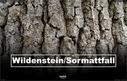 Dateiname=210820_Wildenstein_Sormatt_001.jpg
Dateigröße=523KB
Abmessungen: 1407x900
hinzugefügt am: 16. Dezember 2021 210820_Wildenstein_Sormatt_001.jpg