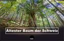 Dateiname=211019_Tausendfunfhundertjahre_Eibe_001.jpg
Dateigröße=572KB
Abmessungen: 1407x900
hinzugefügt am: 23. Dezember 2021 211019_Tausendfunfhundertjahre_Eibe_001.jpg