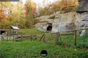 Dateiname=211109_Steinbruch_Maegenwil_031.jpg
Dateigröße=567KB
Abmessungen: 1349x900
hinzugefügt am: 23. Dezember 2021 211109_Steinbruch_Maegenwil_031.jpg