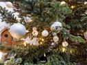 Dateiname=211230_Adventsfunkeln_Rheinfelden_013.jpg
Dateigröße=522KB
Abmessungen: 1199x900
hinzugefügt am: 31. Dezember 2021 211230_Adventsfunkeln_Rheinfelden_013.jpg